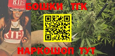 Альфа ПВП Новозыбков
