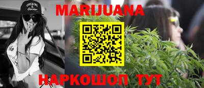 Альфа ПВП Новозыбков