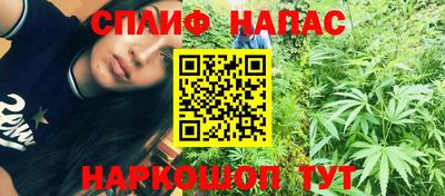 Альфа ПВП Новозыбков
