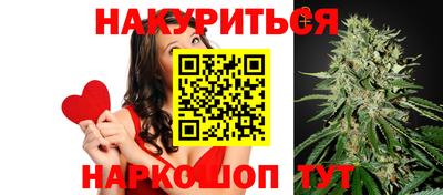 альфа пвп Новокубанск