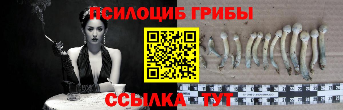 Галлюциногенные грибы мухоморы  Вход с VPN  Ртищево 